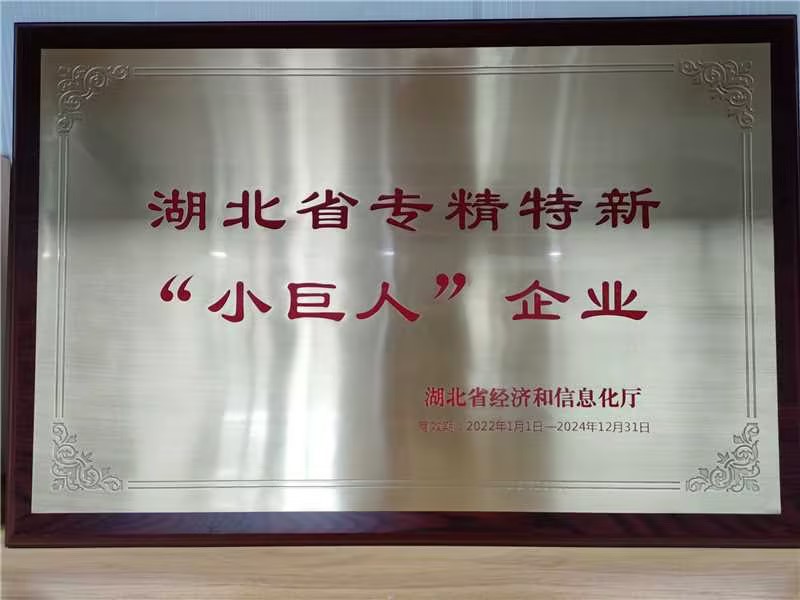 湖北省專精特新“小巨人(rén)”企業